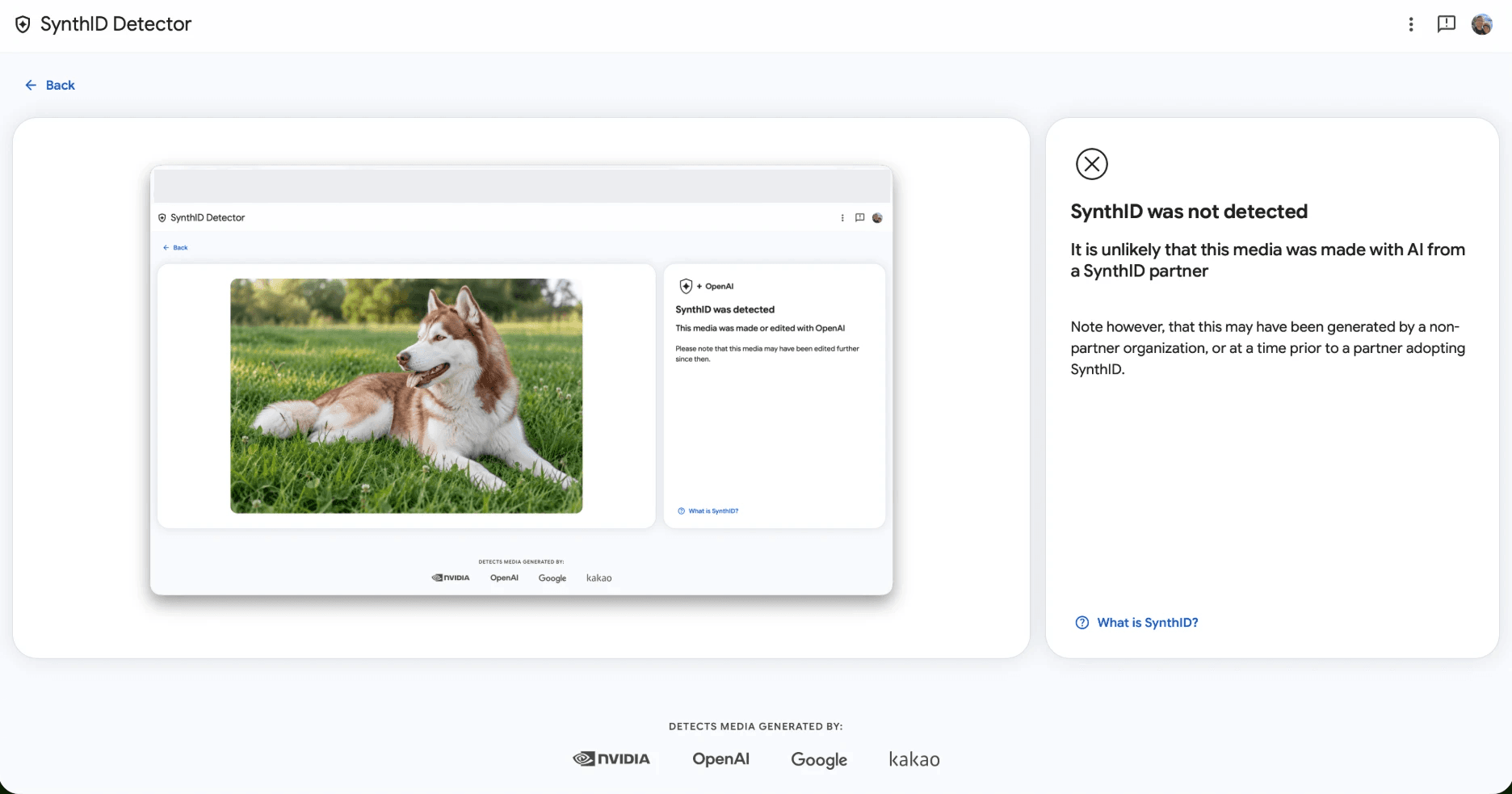SynthID Detector says not detected for a screenshot that shows the AI husky inside it